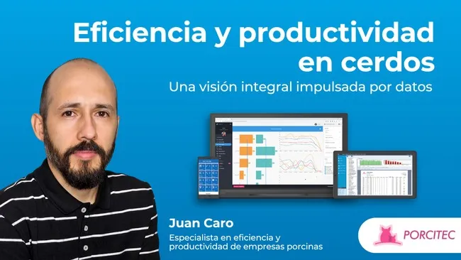Eficiencia y productividad en cerdos: Una visión integral impulsada por datos