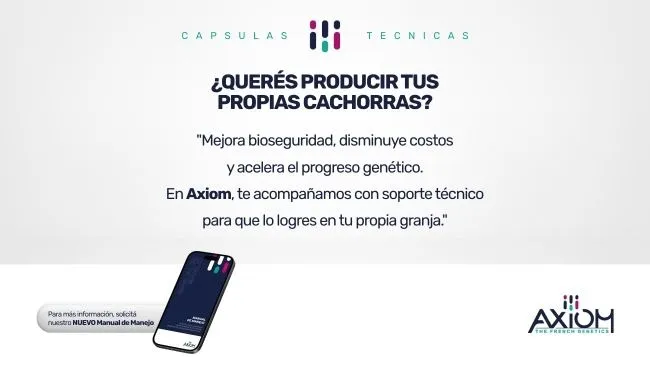 Autoreposición: una estrategia zootécnica clave para la estabilidad y el progreso genético del sistema productivo