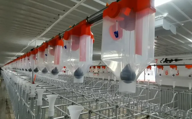 MUGE feed dispenser
