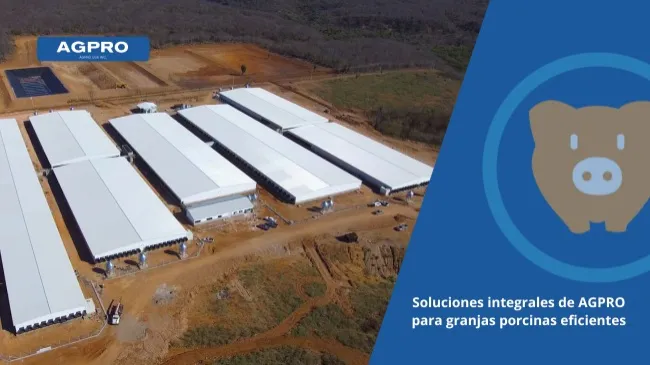 Tecnología y diseño a medida: AGPRO transforma la industria porcina