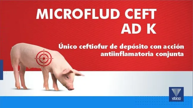 Infografía: Microflud CEFT AD K