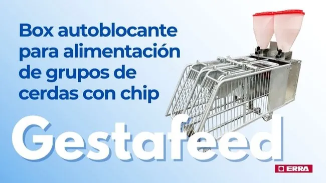GESTAFEED 