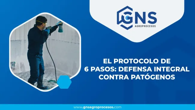 El protocolo de 6 pasos: defensa integral contra patógenos