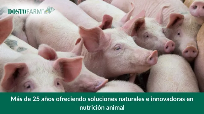 DOSTOFARM®: más de 25 años ofreciendo soluciones naturales e innovadoras en nutrición animal