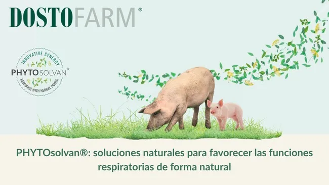 PHYTOsolvan®: soluciones naturales para favorecer las funciones respiratorias de forma natural