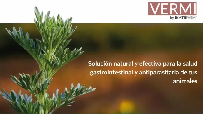 VERMI®: solución natural y efectiva para la salud gastrointestinal y antiparasitaria de tus animales