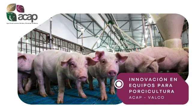 Valco y acap: Innovación en Equipos para la Industria Porcina