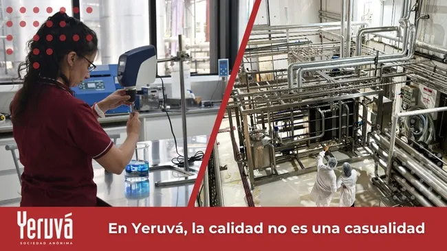 Procesos pensados para durar, calidad y eficiencia en cada etapa