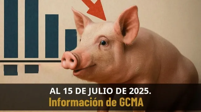 Déficit histórico en comercio pecuario: México importa más carne de la que exporta