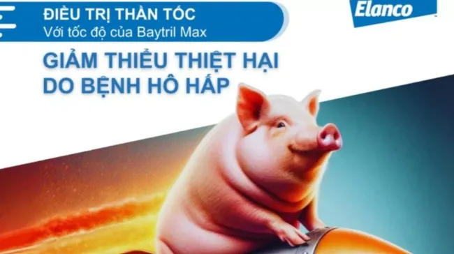 GIẢM THIỂU THIỆT HẠI DO BỆNH HÔ HẤP