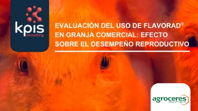 Evaluación del uso de FLAVORAD RP® en granja comercial: efecto sobre el desempeño reproductivo
