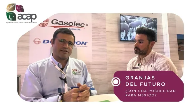 Bienestar animal y tecnificación: visión a futuro para el sector porcino mexicano