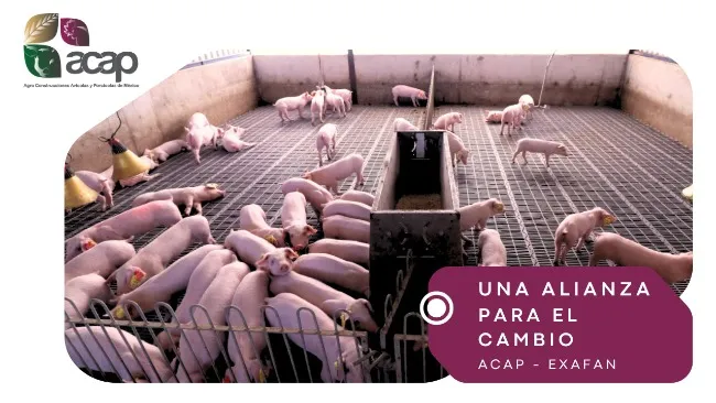 Xhristos Barba reafirma compromiso y crecimiento de Exafan con acap en México