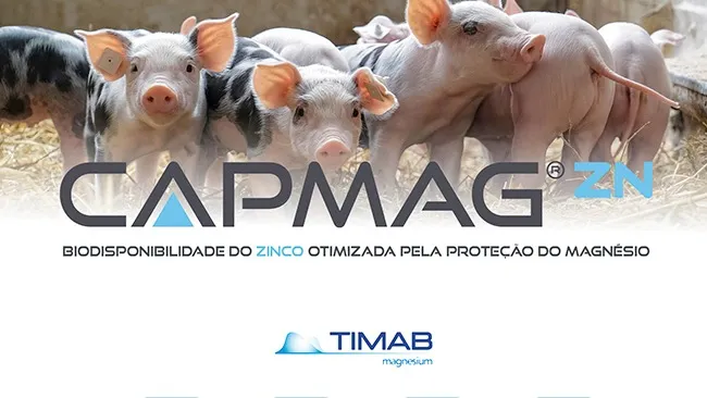 CAPMAG® Zn: Inovação em zinco protegido para melhorar a saúde e o desempenho no pós-desmame