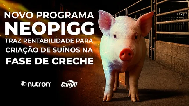 Novo programa NeoPigg da Cargill traz rentabilidade para criação de suínos na fase de creche