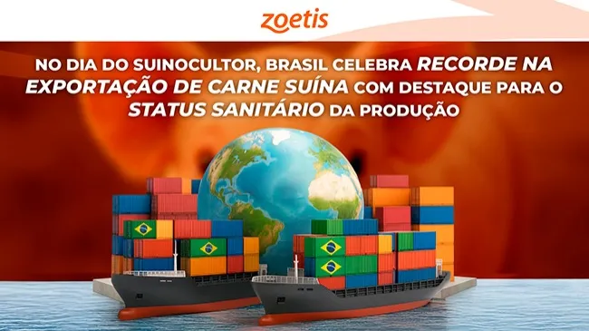 No Dia do Suinocultor, Brasil celebra recorde na exportação de carne suína com destaque para o status sanitário da produção