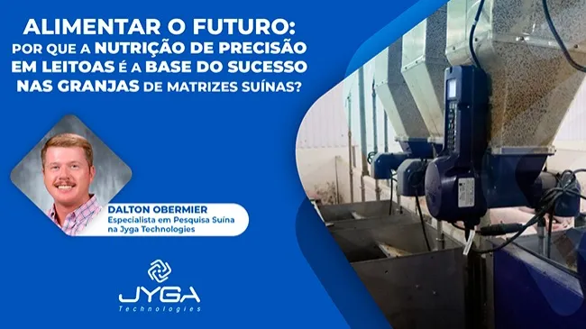 Alimentar o futuro: Por que a nutrição de precisão em leitoas é a base do sucesso nas granjas de matrizes suínas?
