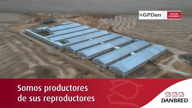 Capacitación, confianza y genética: la apuesta conjunta de GPDan y DanBred en Argentina