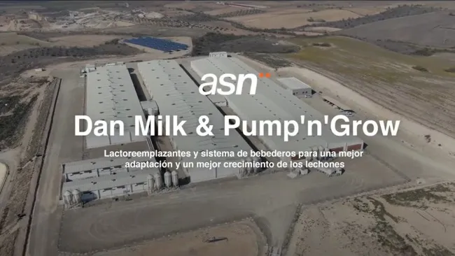 Cómo DanMilk y Pump'n'Grow impulsan el rendimiento y bienestar de los lechones en Granja Valseca 2