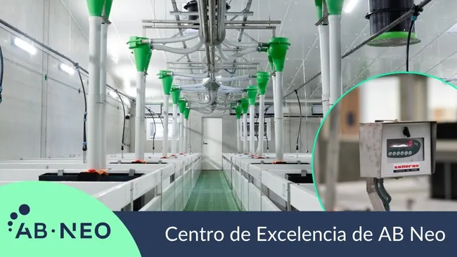 Centro de Excelencia de AB Neo: Innovación en nutrición porcina desde los primeros días