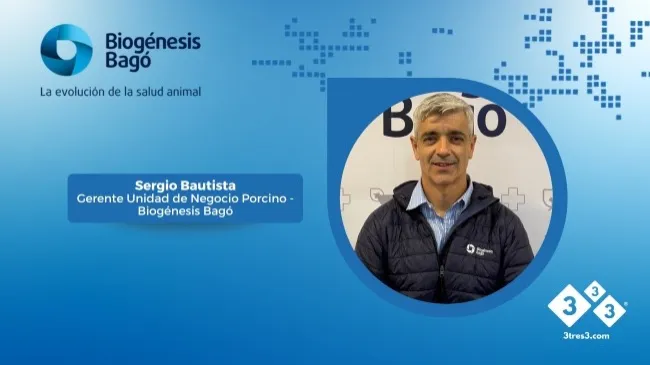 Biogénesis Bagó apuesta por la eficiencia reproductiva para potenciar la rentabilidad del sector porcino argentino