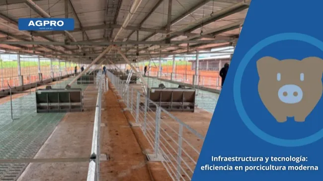 AGPRO: ingeniería a medida para una producción porcina eficiente