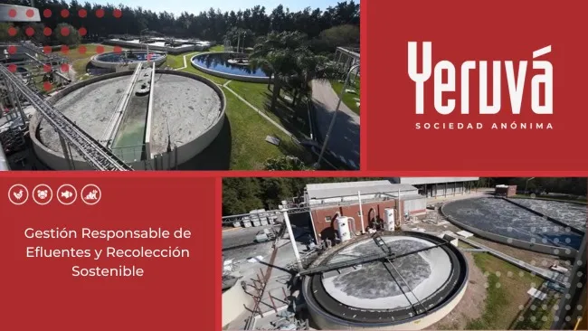 Compromiso Ambiental de Yeruvá: Gestión Responsable de Efluentes y Recolección Sostenible