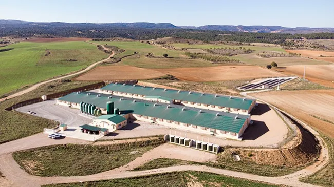 Reportaje: Innovación y eficiencia en una granja de transición