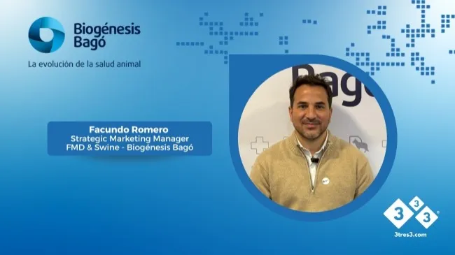Biogénesis Bagó lanza su división porcinos en Argentina respaldados por su experiencia global