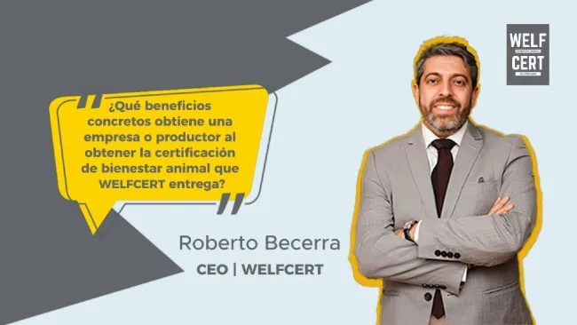 WELFCERT: una certificación que impulsa la productividad, apertura comercial y reputación en bienestar animal