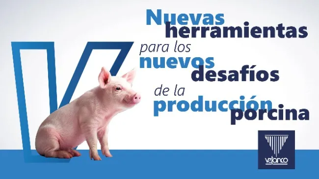 Nuevas herramientas para los nuevos desafíos de la producción porcina