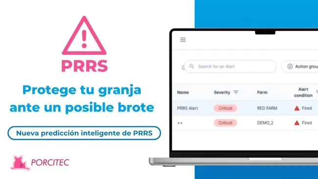 Gestión proactiva del PRRS: Introducción a la nueva herramienta predictiva de Porcitec