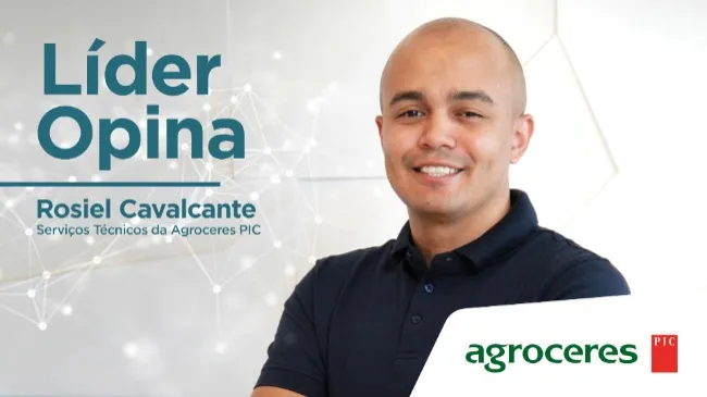 Líder Opina: O impacto da genética na eficiência alimentar dos suínos