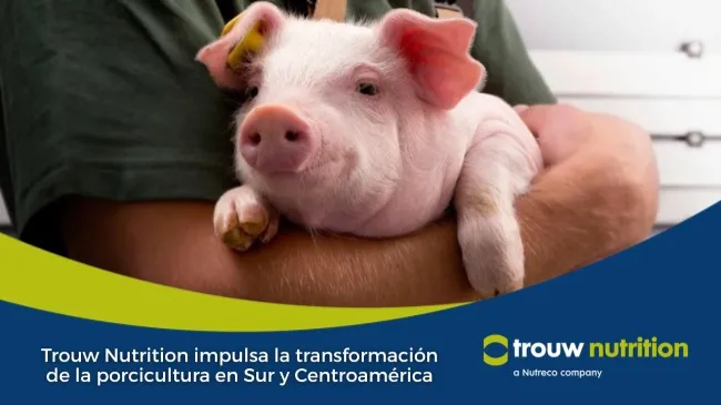 Trouw Nutrition impulsa la transformación de la porcicultura en Sur y Centroamérica