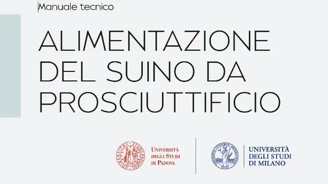 "Alimentazione del suino da prosciuttificio”: dal progetto NUTR-PIG nuove linee guida tecniche