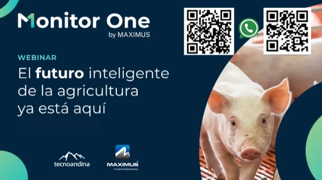 Monitor One by MAXIMUS: innovación en la toma de decisiones inteligentes en granjas de producción