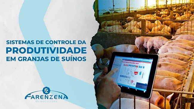Sistemas de controle da produtividade em granjas de suínos
