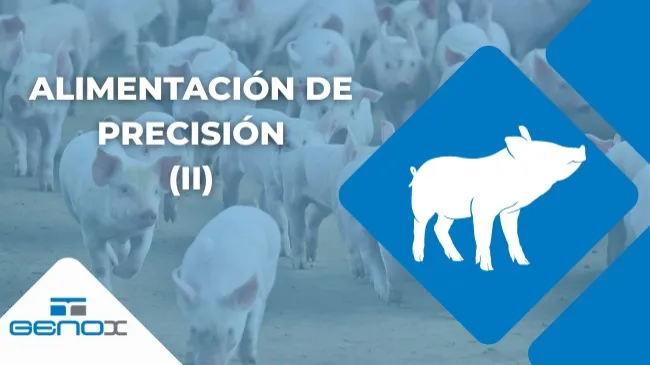 Comederos automáticos para lechones: cómo aprovechar al máximo su potencial