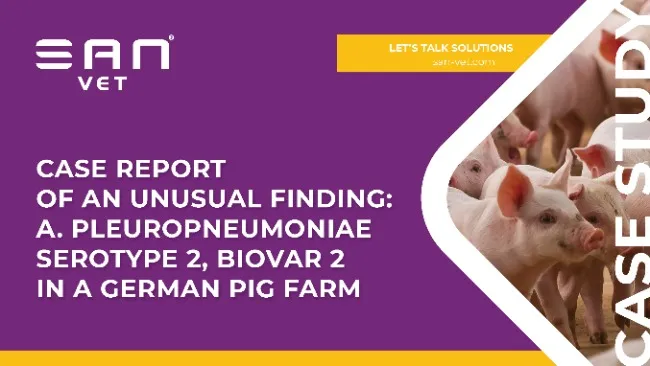 Case report  of an unusual finding:  A. pleuropneumoniae  Serotype 2, Biovar 2  in a German pig farm