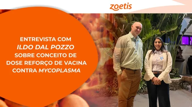 Entrevista com Ildo Dal pozzo sobre conceito de dose reforço para Mycoplasma