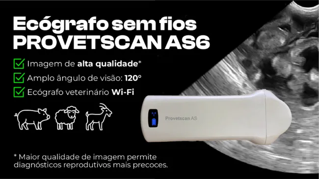 Ecógrafo sem fios PROVETSCAN AS6