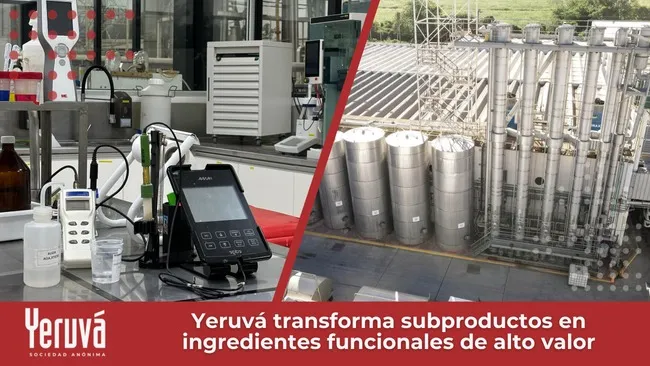 Yeruvá S.A.: Innovación y sostenibilidad en proteínas funcionales para la industria animal y humana