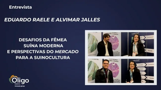 Desafios da fêmea suína moderna e perspectivas do mercado para a suinocultura