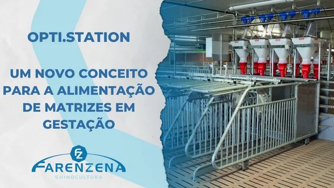 Opti.Station: Um novo conceito para a alimentação de matrizes em gestação
