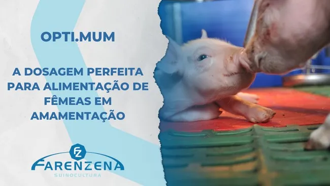 Opti.Mum: A dosagem perfeita para alimentação de fêmeas em amamentação