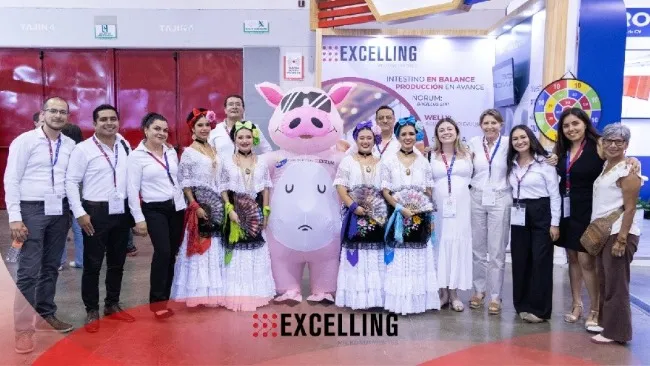 Excelling en AMVEC 2025: Innovación en nutrición funcional y dinámicas interactivas para conectar con la comunidad