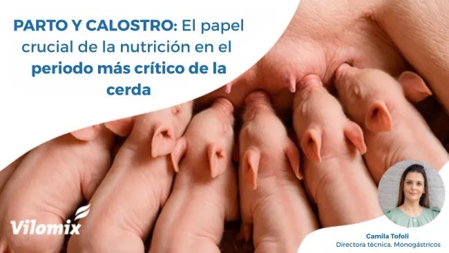 Un parto exitoso depende de una adecuada gestión nutricional en el periparto. Camila Tofoli, Vilomix Brasil