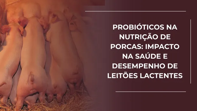 Probióticos na nutrição de porcas: impacto na saúde e desempenho de leitões lactentes