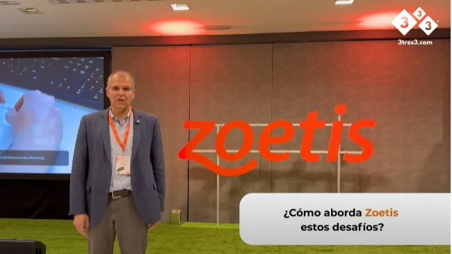 ¿Cómo aborda Zoetis los principales desafíos sanitarios del sector porcino en España?