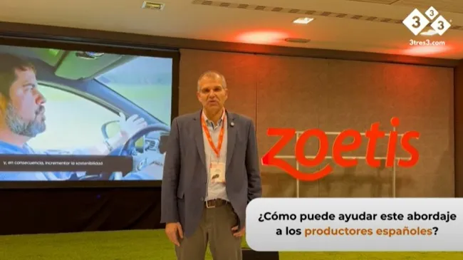 ¿Cómo puede ayudar el enfoque de Zoetis respecto a los desafíos sanitarios a los productores porcinos en España?
